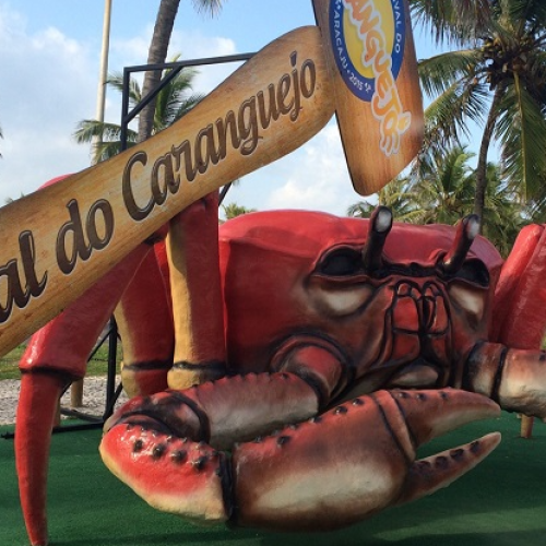 Festival do Caranguejo em Aracaju: O Que Saber Antes de Ir